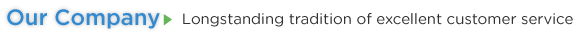 Our Company